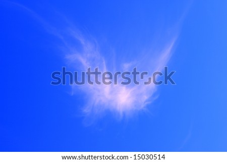 Bird-shaped pink cloud on blue sky at the sunset