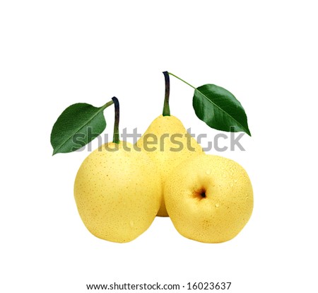 Yali Pear