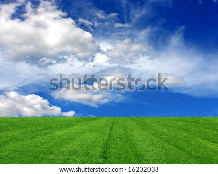 Summer green grass filed under cloudy sky