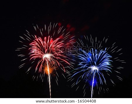 Red white blue color fireworks against black background