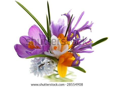 Colorful flower bunch isolated on white background