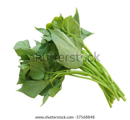 sweet pot leaf