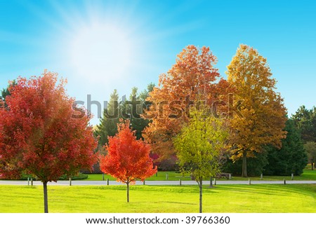 Autumn season with sunny landscape in the park