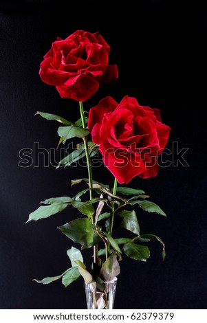 Two red roses on the crystal vase over black background