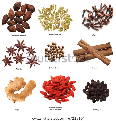 Set of nine spices isolated on white