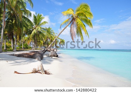The Most Beautiful Lonely Beach In Caribbean San Blas Island, Panama. Turquoise Tropical Sea, Palm Tree, Central America.