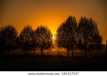 Vibrant Sunset with trees at local Argentine countryside Farm.