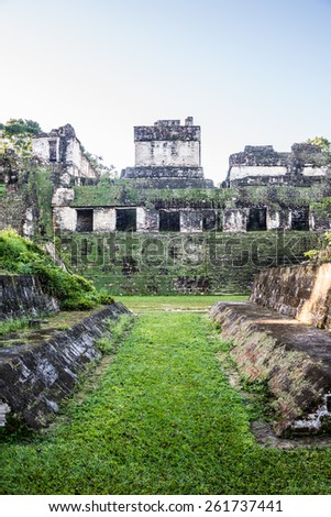 Mayan historic building at Tikal Jungle. Guatemala.