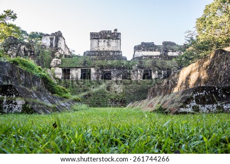 Mayan historic building at Tikal Jungle. Guatemala.