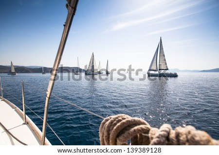 Boats in sailing regatta.