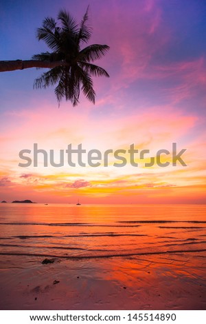 Beautiful sunset on the ocean, natural composition (vertical frame)