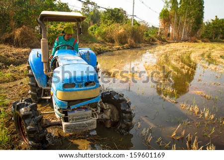 PAI, NORTHERN THAILAND, DECEMBER 29: Local people working on the rice field in Pai, Northern Thailand on December 29, 2012. Thailand is the world\'s 2nd largest exporter of rice.