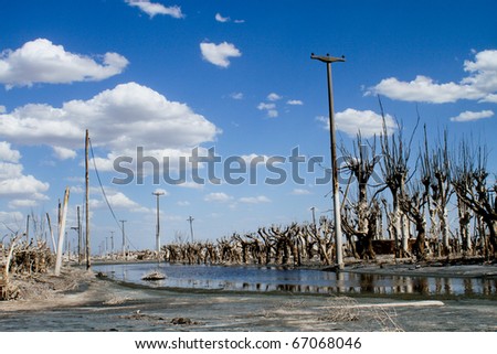 EPECUEN, ARGENTINA - DECEMBER 4: Dead City - the enormous volume of water broke the rock and earth embankment, and inundated much of the town, December 4, 2010 in Epecuen, Argentina.