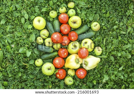 Fresh vegetables scattered on the grass. Cucumbers, tomatoes, peppers and apples.