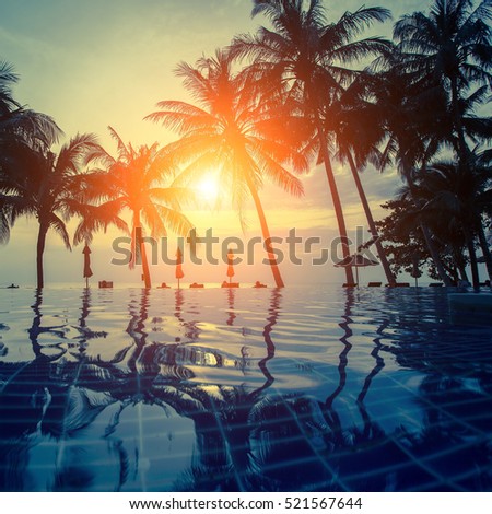 Sunset on a tropical resort beach with silhouettes of palm trees.