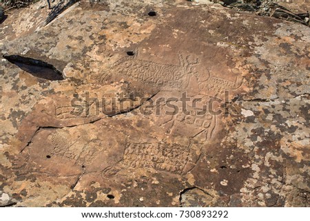 Petroglyphs of Altay. Ancient rock paintings in the Altai Mountains, Russia.