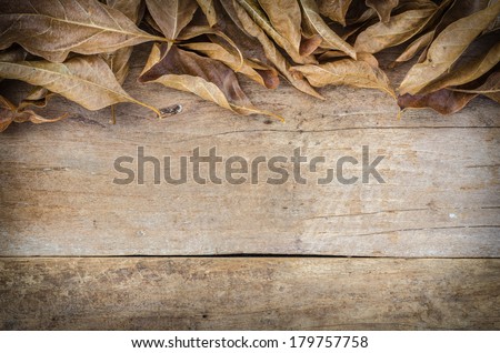 dry leaf on old wood texture for background, old dry leaf shape, nature at fall
