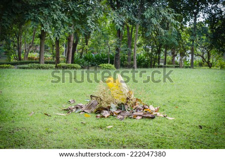 A pile of leaves on the lawn