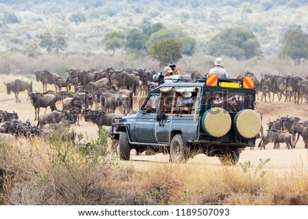 Photographers, on a safari vehicle in the Masai Mara, photograph the annual Great migration of the white-bearded wildebeest.