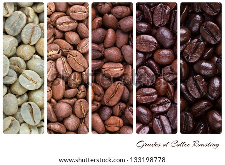 A collage of coffee beans showing various stages of roasting from raw through to Italian roast