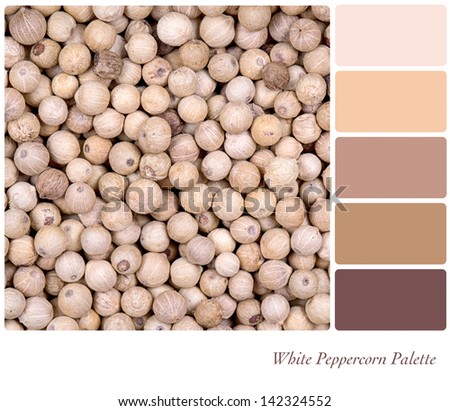 A background of white peppercorn in a colour palette, with complimentary colour swatches.