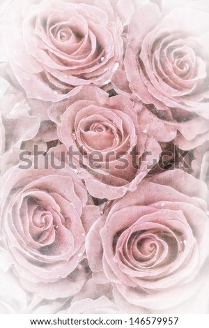 A background of faded roses. Vintage effect with intentional desaturation