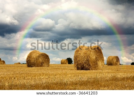 Dramatic storm and rainbow over wheat field and haystacks