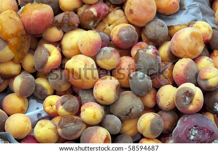 A background of discarded rotten fruit left for waste after a market. Peaches and apricots.