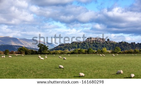 A view of sheep grazing with Stirling Castle in the distance. Stirling, Scotland