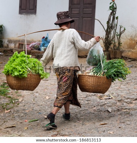 LUANG PRABANG, LAOS -  FEBRUARY 7:  a woman is carrying a yoke with green vegetables on her shoulder to go to the market,  on February 7, 2014, in Luang Prabang, Laos
