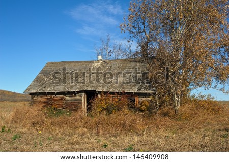 Old abandoned log cabin in  harvested field in fall  An aspen tree to the right
