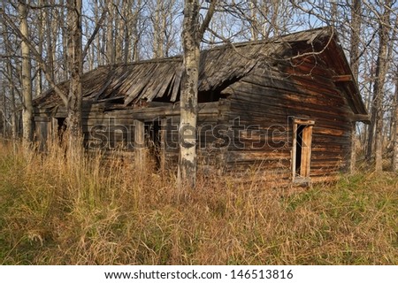 Old abandoned log cabin in the forest in fall
