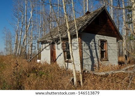 Abandoned small house in dry grass and aspens in fall.  Walls covered with grey asphalt siding