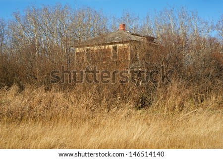 Abandoned farm house  in fall surrounded by small bushes and dry grass