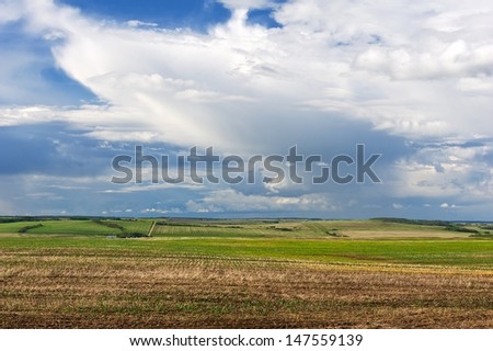 Grain fields in spring with a rain cloud