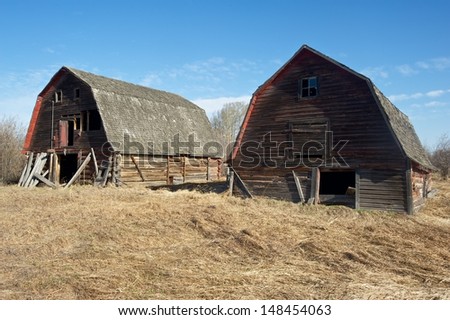 Abandoned old  farm.  Three barns in a field of dry dead grass in spring