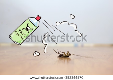 Dead cockroach on floor , drawing of pest control concept