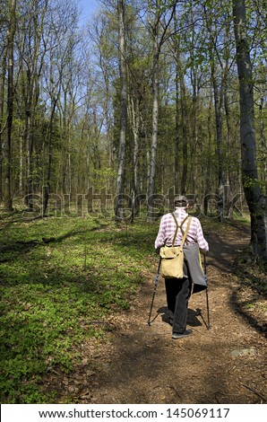 The old man nordic walking in the spring beech forest