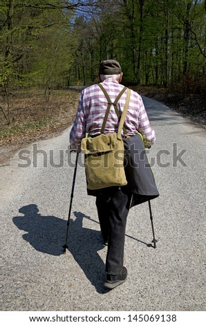 The old man nordic walking in the spring beech forest