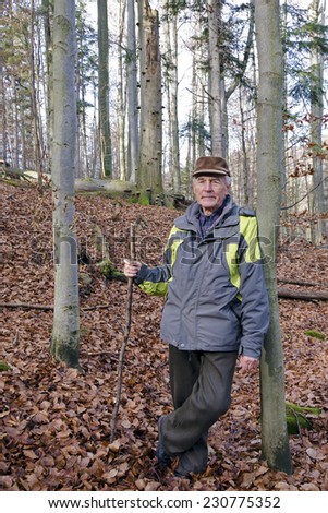 The old man in the autumn beech forest