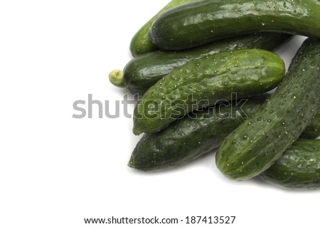 Fresh green cucumber. Photo.
