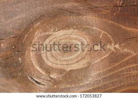 wood eye background