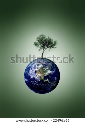 tree on the earth globe