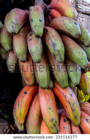 rare red bananas closeup