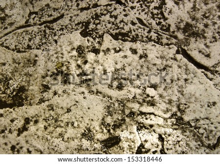 Rocky surface texture