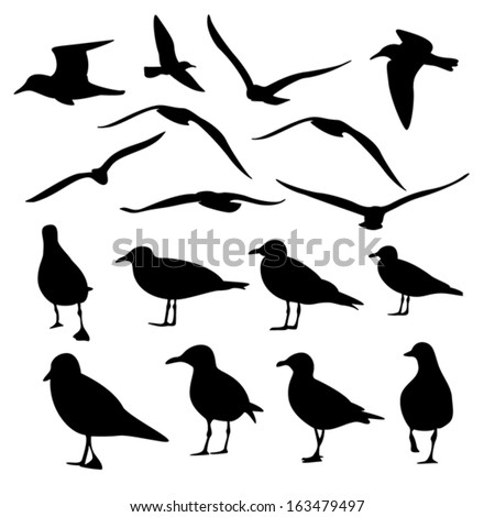 Gull Silhouette Vector Gull Silhouette Vector