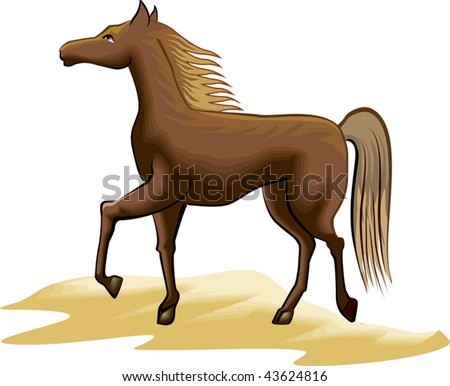 Illustration of pet animal horse