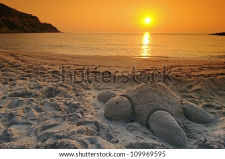 turtle sand in corsica beach
