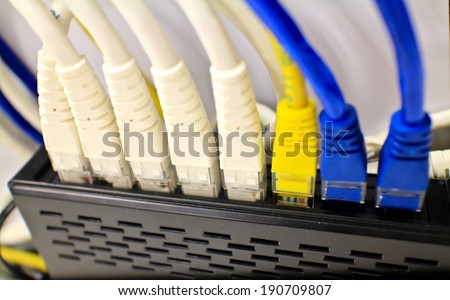 Close-up of computer network plugs connected to a router / switch