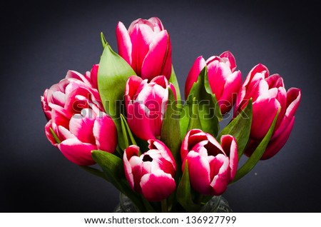 art nouveau tulips